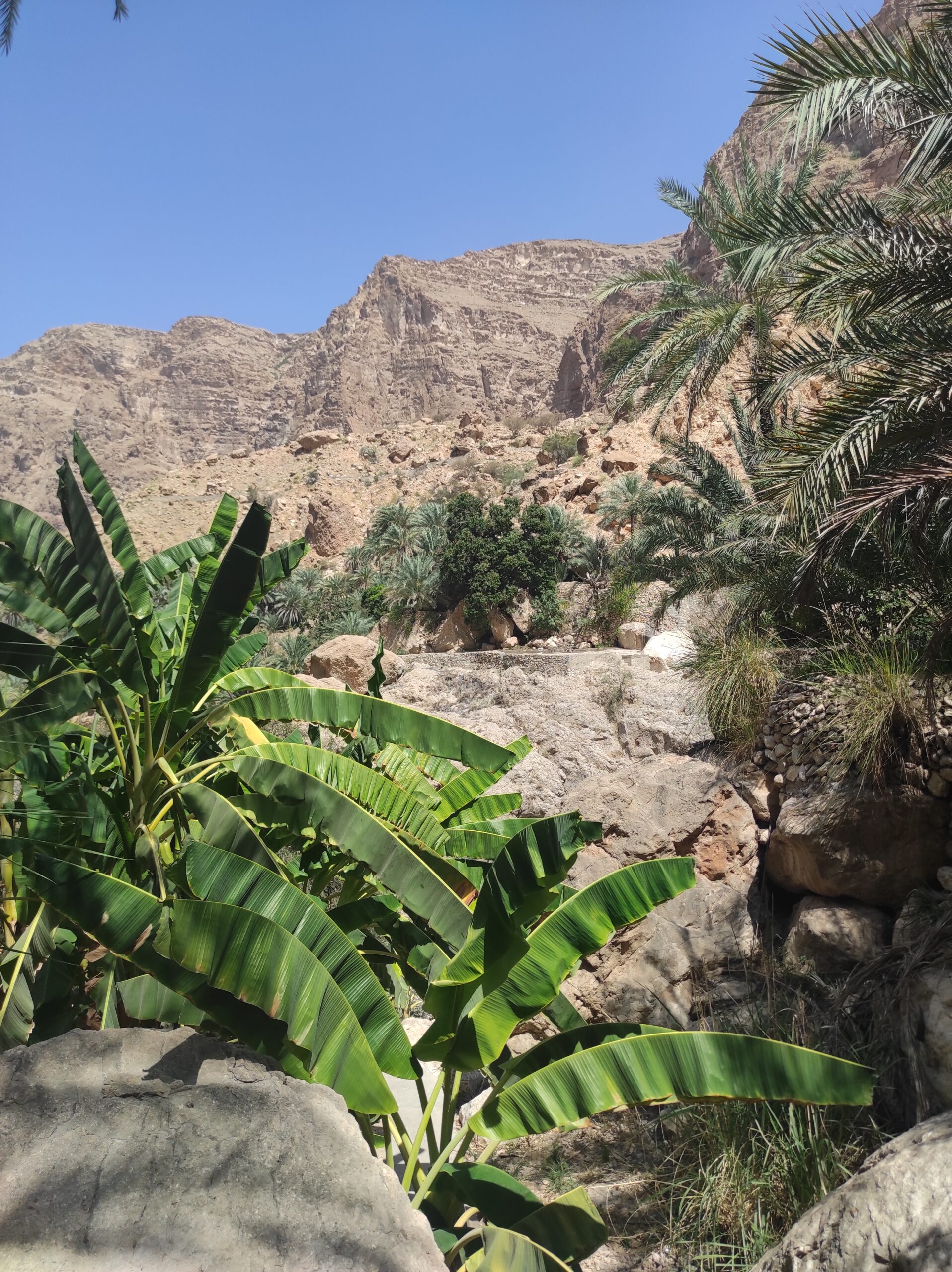 Oman – orientalny tydzień górskim szlakiem